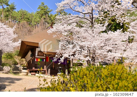 信濃三十三観音霊場六番札所の観龍寺 信濃三十三観音霊場六番札所の観龍寺 102309647