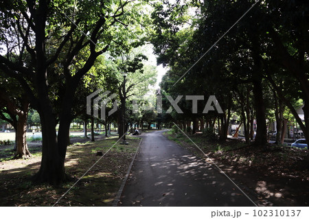 横浜市鶴見区　新緑の入船公園 102310137