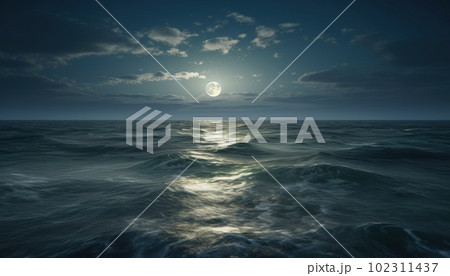 The moon is low over the night ocean 102311437