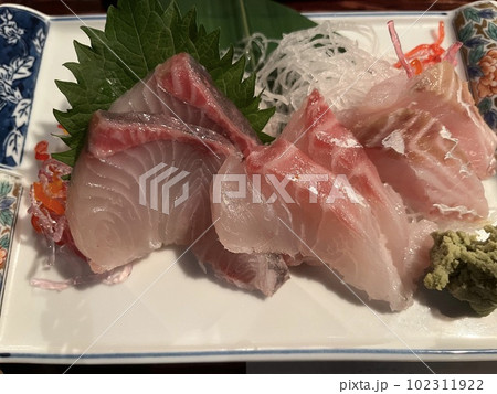 お皿に盛られた刺身 102311922