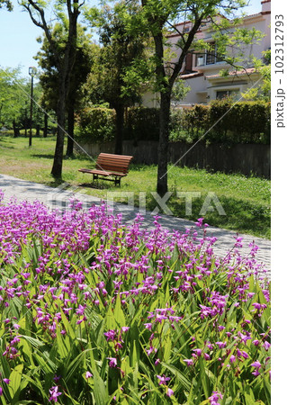 宝野公園 102312793