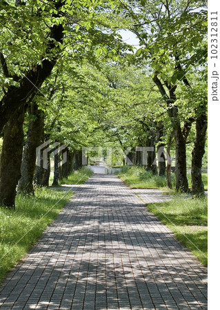 宝野公園 宝野公園 102312811