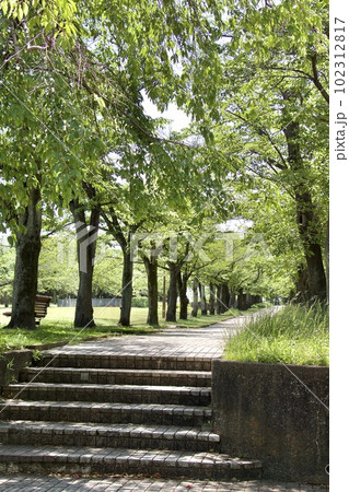 宝野公園 102312817