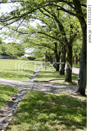 宝野公園 宝野公園 102312821