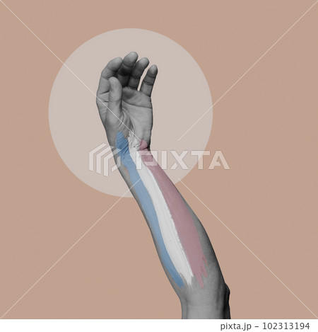 arm in black and white with a transgender flag arm in black and white with a transgender flag 102313194