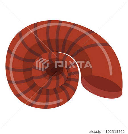 Seashell. vector illustration isolated on a white background 102313322