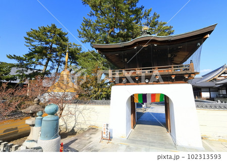 【香川県】四国霊場「第75番札所」総本山善通寺（パゴダ供養塔と正覚門） 102313593