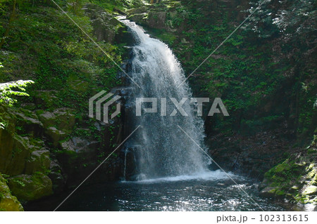 新緑の赤目四十八滝(高速シャッター) 102313615
