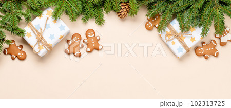 Xmas fir tree branch, Christmas gift boxes and space 102313725