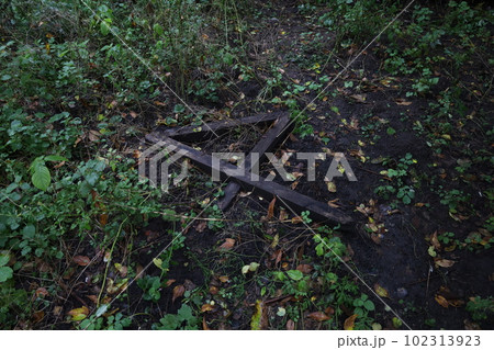 Wooden old structures in the rain forest 102313923