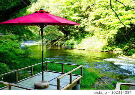 鶴仙渓の新緑 鶴仙渓の新緑 102314084