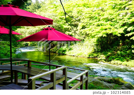 鶴仙渓の新緑 102314085