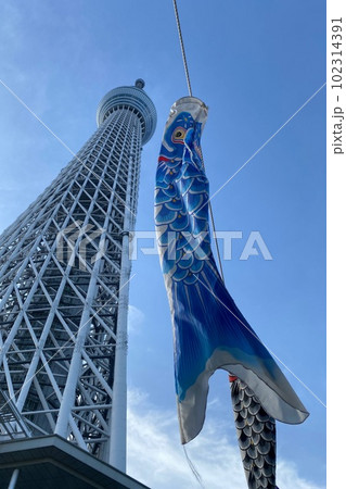 スカイツリーと鯉のぼり スカイツリーと鯉のぼり 102314391