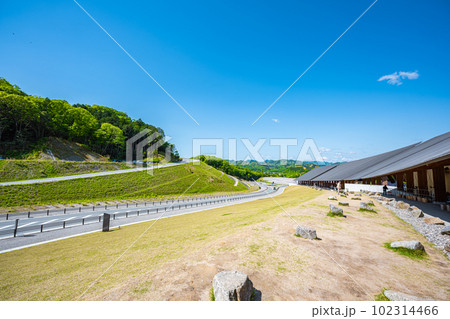 春のVISON 102314466