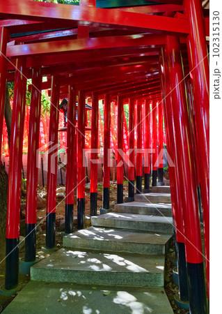 赤坂王子稲荷神社(東京都港区) 赤坂王子稲荷神社(東京都港区) 102315130