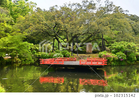 春に歩く奈良市春日大社の萬葉植物園 浮舞台 102315142