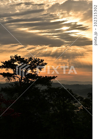 八上城からの朝日 102315302