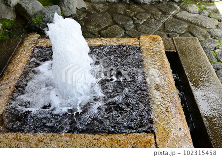 水都大垣の勢いよく噴き出す湧水 水都大垣の勢いよく噴き出す湧水 102315458