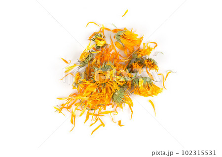 Calendula flowewr tea 102315531