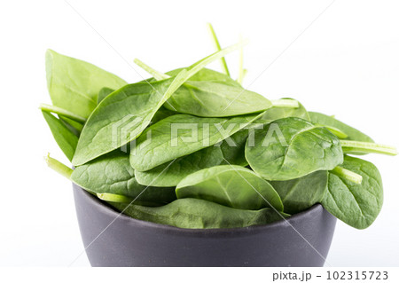 Green spinach on a white background 102315723