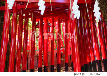赤坂王子稲荷神社(東京都港区) 赤坂王子稲荷神社(東京都港区) 102316230