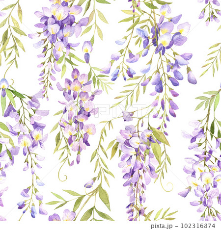 Watercolor wisteria illustration. Seamless pattern flowers and leaves 102316874