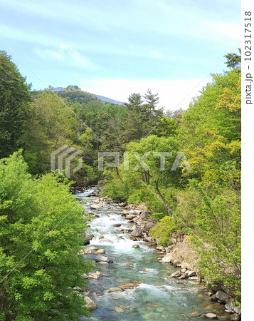 信州・新緑と川の風景 102317518