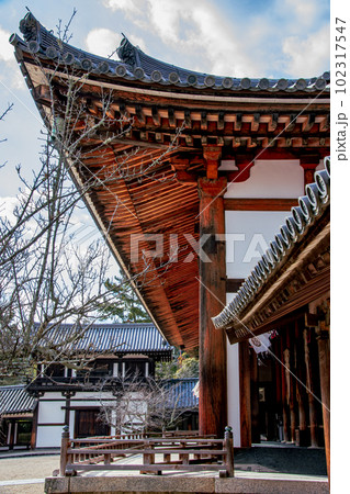 きれいな東大寺 102317547