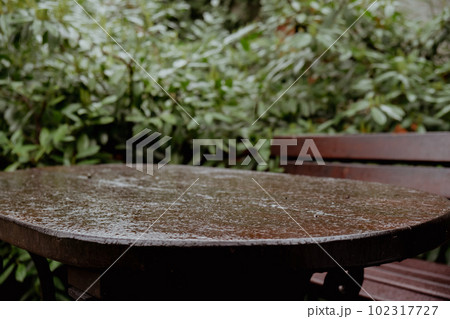 Drops of rain fall on wooden terrace in green garden outdoors. Empty wooden table against summer rain weather. Background for product template. Drops of rain fall on wooden terrace in green garden outdoors. Empty wooden table against summer rain weather. Background for product template. 102317727