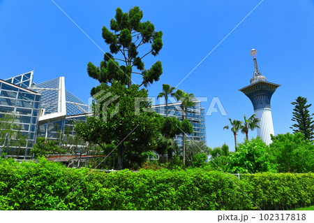 【大阪府】花博記念公園鶴見緑地の咲くやこの花館 102317818