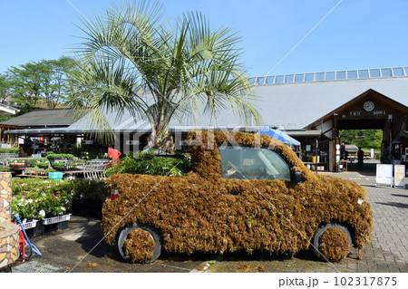鹿沼花木センター 苔カー 鹿沼花木センター 苔カー 102317875