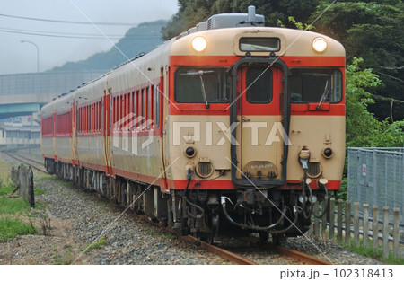 敦賀港線　敦賀港ー敦賀　JR西日本　キハ28-2466（鳥取）+キハ58+キハ58+キハ28 102318413
