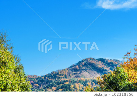 吉田山山頂から望む秋の大文字山 102318556