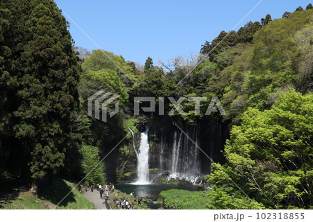 世界文化遺産・白糸の滝(静岡県富士宮市) 世界文化遺産・白糸の滝(静岡県富士宮市) 102318855