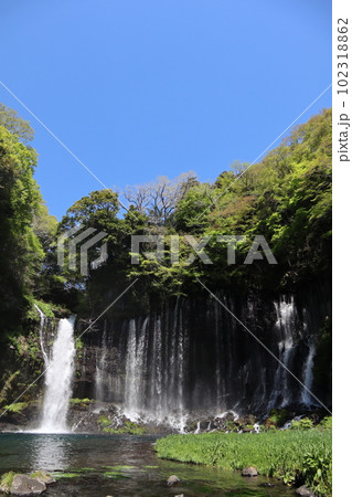 世界文化遺産・白糸の滝（静岡県富士宮市） 102318862