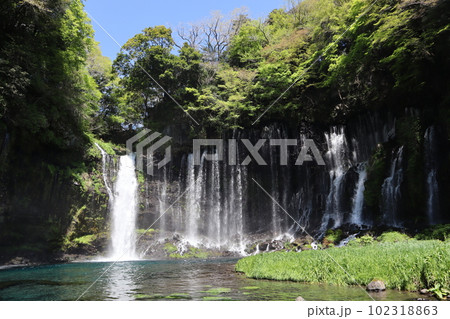 世界文化遺産・白糸の滝（静岡県富士宮市） 102318863