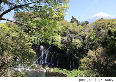 世界文化遺産・白糸の滝(静岡県富士宮市)と富士山 世界文化遺産・白糸の滝(静岡県富士宮市)と富士山 102318865