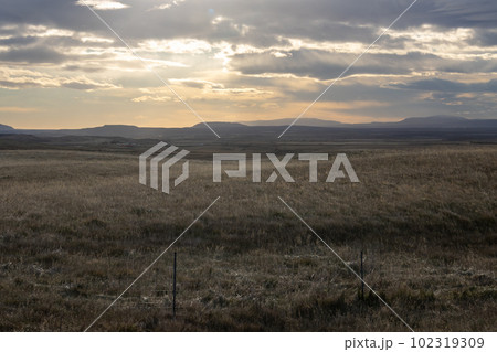 Fields and meadows, Gullfoss area, Iceland Fields and meadows, Gullfoss area, Iceland 102319309