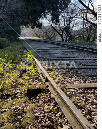 早朝の廃線のレール 102319331