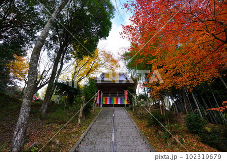川見薬師寺 紅葉 川見薬師寺 紅葉 102319679