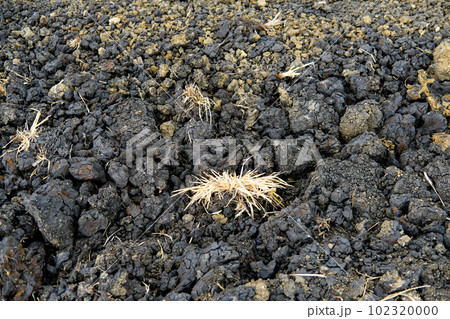 Dry soil plain texture background Dry soil plain texture background 102320000