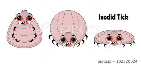 Ticks characters set. Pest control. Ixodid ticks. INSECT PEST CHARACTERS. lyme disease. 102320024