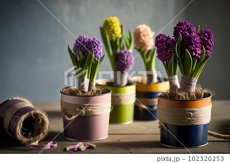 multicolored pots with a variety of flowering hyacinths stand on the table on kitchen multicolored pots with a variety of flowering hyacinths stand on the table on kitchen 102320253