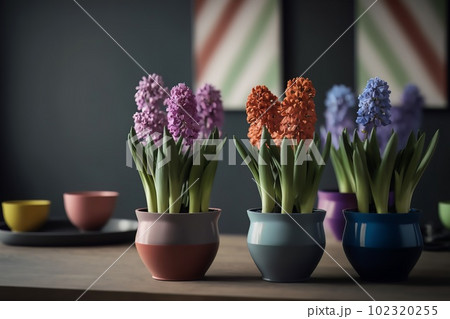 Several ceramics multicolored pots with a variety of flowering hyacinths stand on the table on kitchen Several ceramics multicolored pots with a variety of flowering hyacinths stand on the table on kitchen 102320255