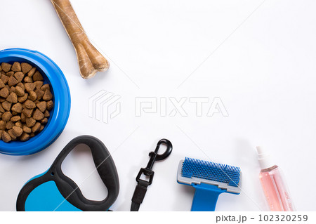 Collar, blue bowl with feed, leash, delicacy, combs and brushes for dogs. Isolated on white background Collar, blue bowl with feed, leash, delicacy, combs and brushes for dogs. Isolated on white background 102320259