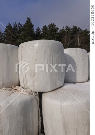 white plastic packaging for hay during storage in winter 102320656