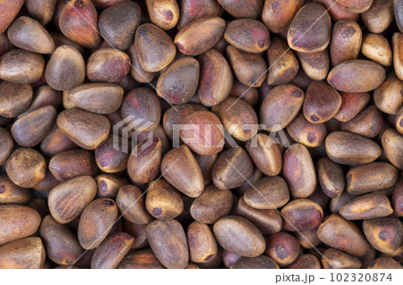 a bunch of pine nuts in the shell 102320874