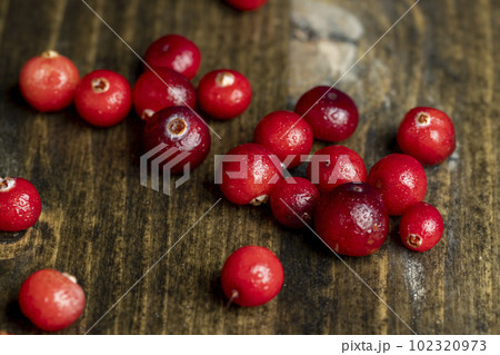 fresh ripe cranberries with drops of pure water 102320973