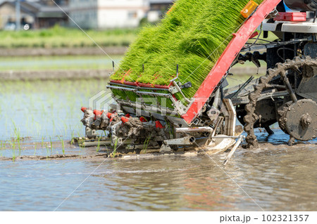 田植え機での田植え作業イメージ 田植え機での田植え作業イメージ 102321357
