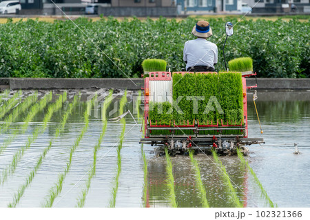 田植え機での田植え作業イメージ 田植え機での田植え作業イメージ 102321366